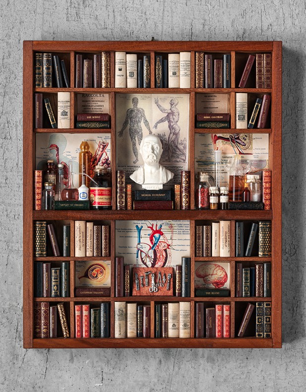 Medicine Theme - Miniature Library